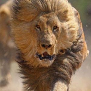 Meet your Posher, Marco